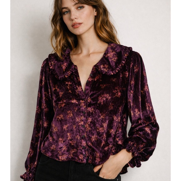 Pilcro Tops - Pilcro Anthropologie Keira Collared Velvet Button-Front Blouse
